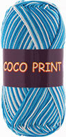 Coco print 4668